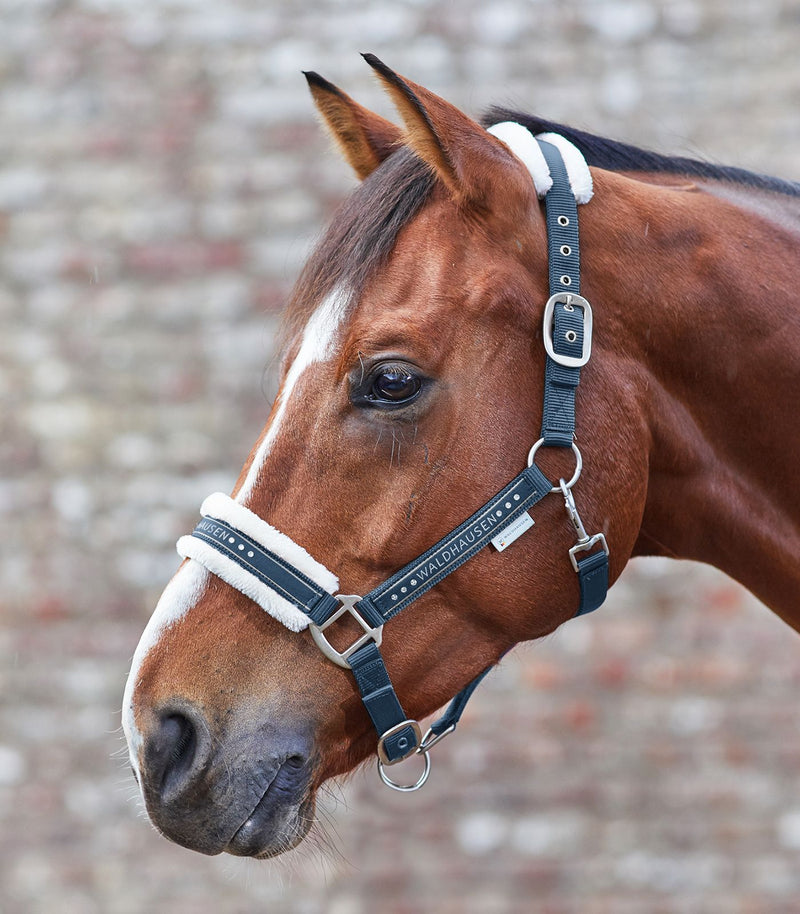 Waldhausen Elegant Halter