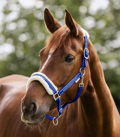 Waldhausen Elegant Halter