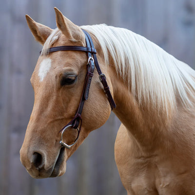 SHIRES EQUESTRIAN - Filet à Foin 6.5kg - Paddock Animal SHIRES EQUESTRIAN - Filet à Foin 6.5kg - Paddock Animal