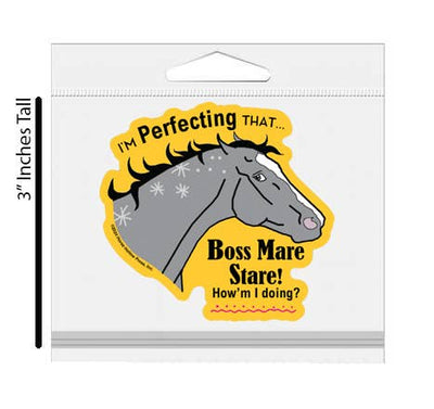 3" Tumbler Horse Sticker / Boss Mare Stare / WATERPROOF