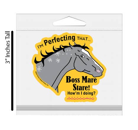 3" Tumbler Horse Sticker / Boss Mare Stare / WATERPROOF