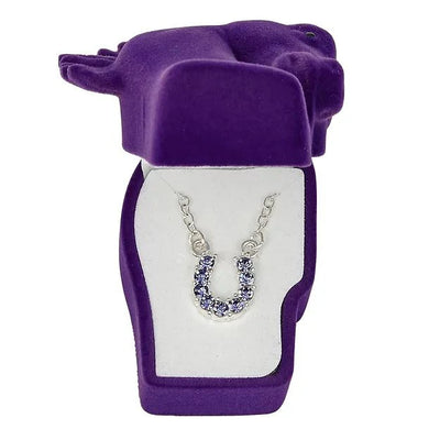 AWST Rhinestone Horseshoe Necklace with Horse Head Gift Box