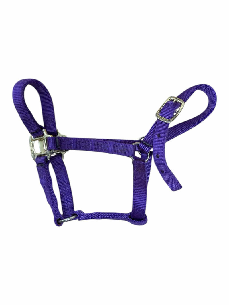 Nylon Halter - Purple - Weanling/Large Pony - USED