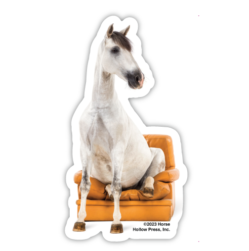 3" Tumbler Horse Sticker / Horse Seated Chair / WATERPROOF