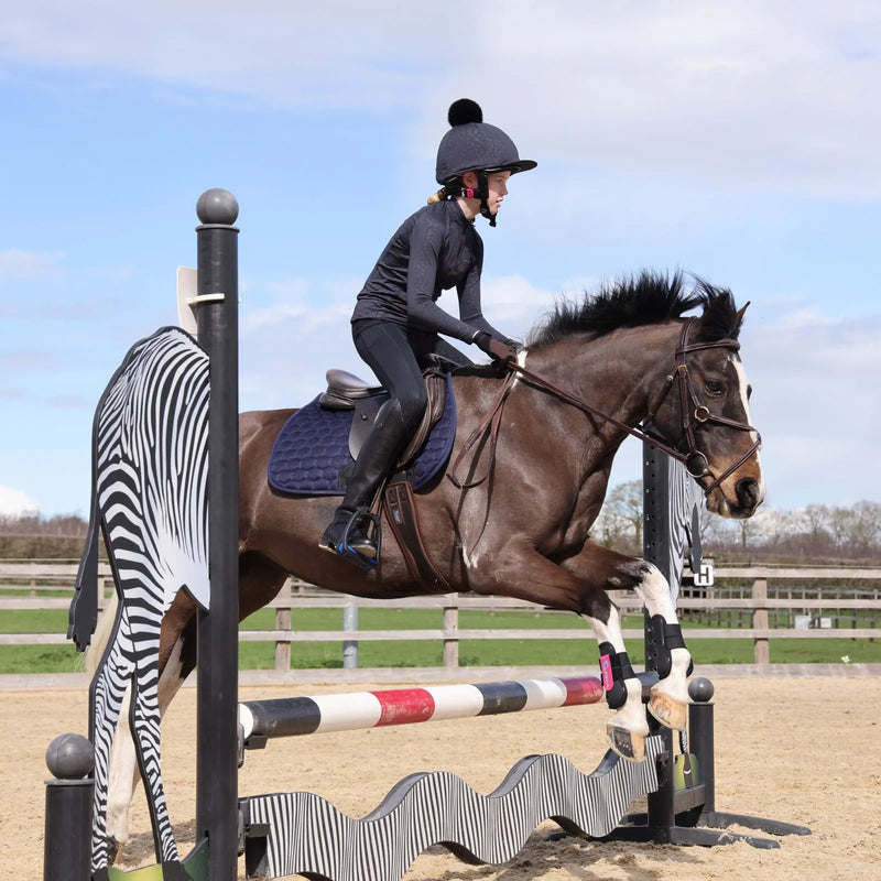 Shires Aubrion Riding Tights - Black