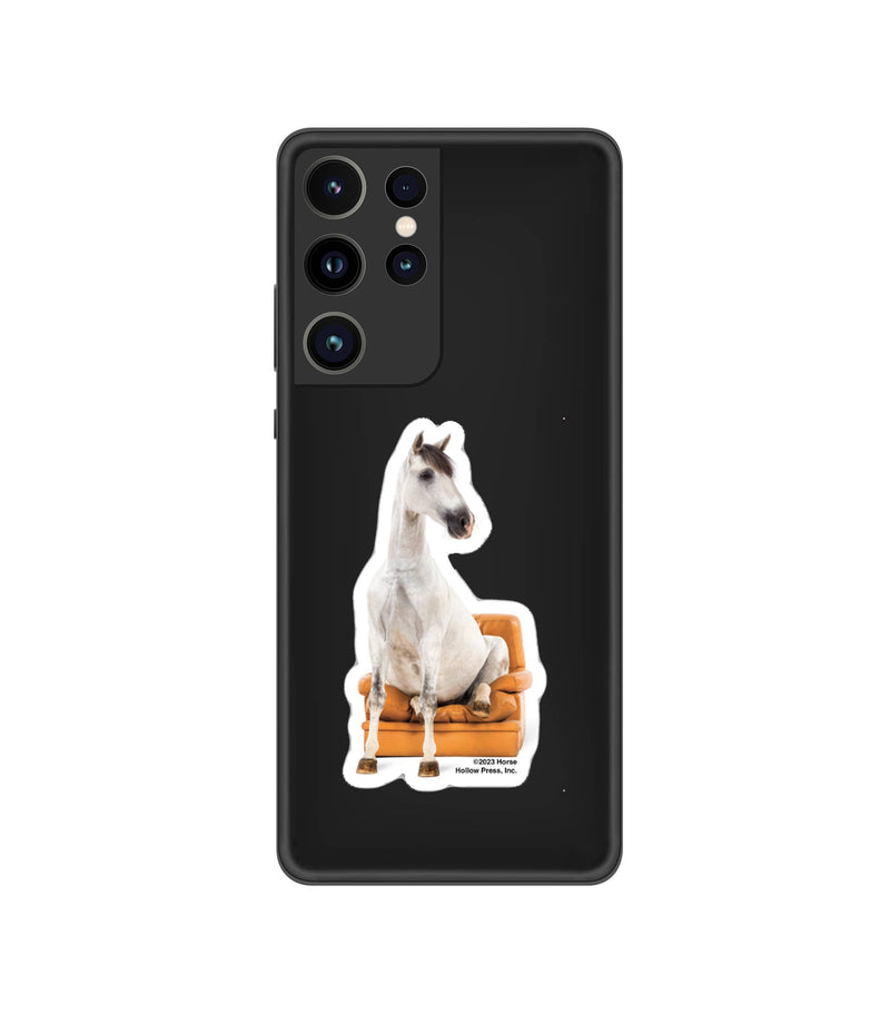 3" Tumbler Horse Sticker / Horse Seated Chair / WATERPROOF