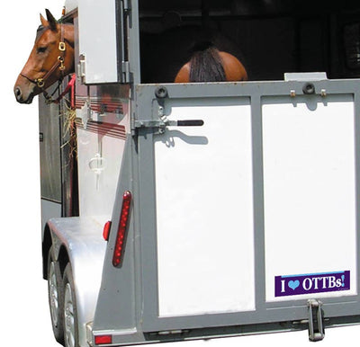 Horse Bumper Sticker / I Love OTTBs!