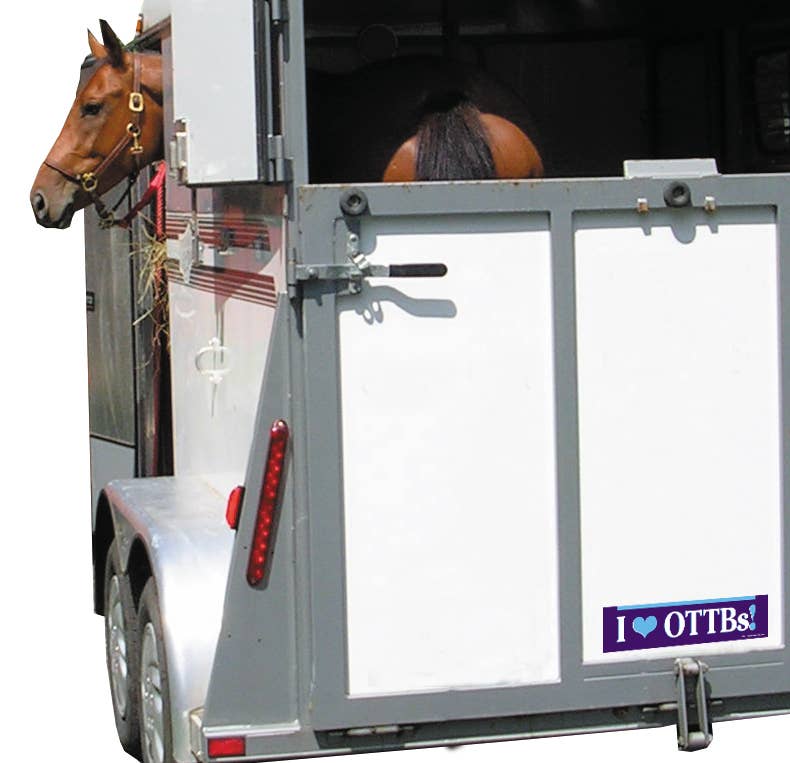 Horse Bumper Sticker / I Love OTTBs!