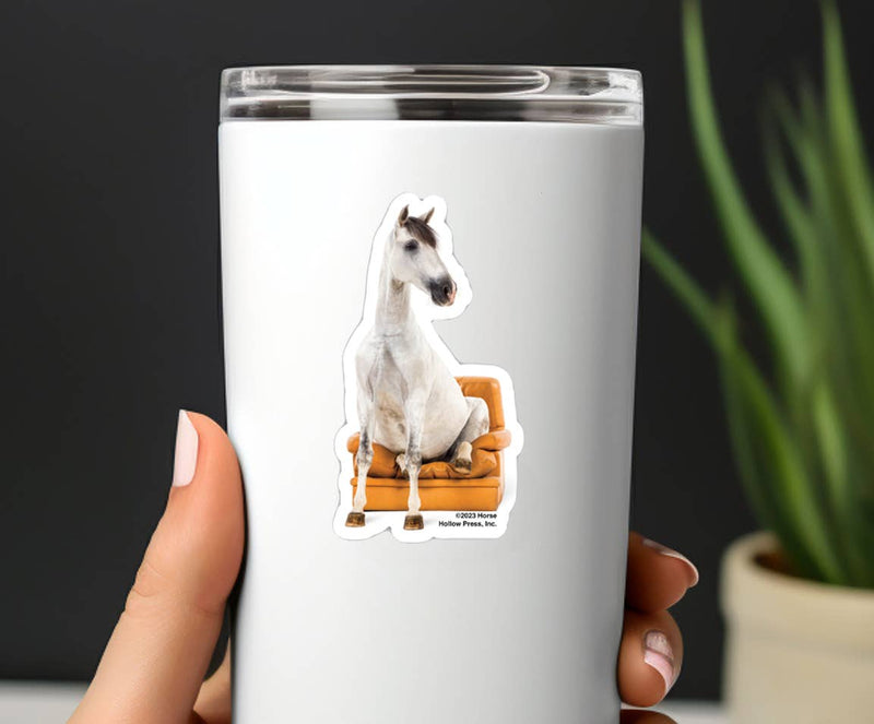 3" Tumbler Horse Sticker / Horse Seated Chair / WATERPROOF