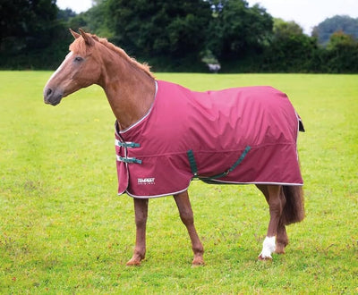 Shires Tempest Original 200G Maroon