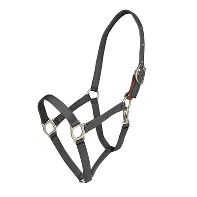 Lucky Breakaway Halter by Ovation®