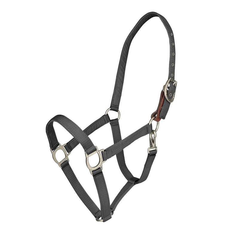 Lucky Breakaway Halter by Ovation®