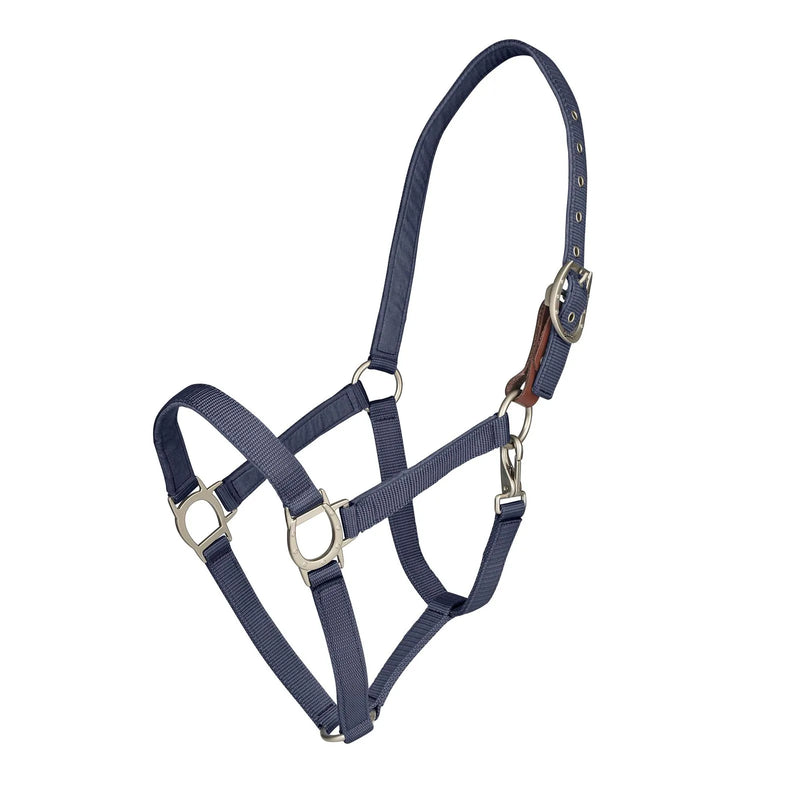 Lucky Breakaway Halter by Ovation®