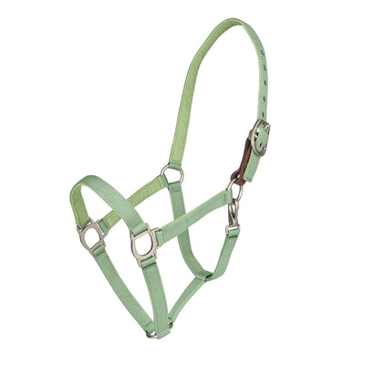 Lucky Breakaway Halter by Ovation®