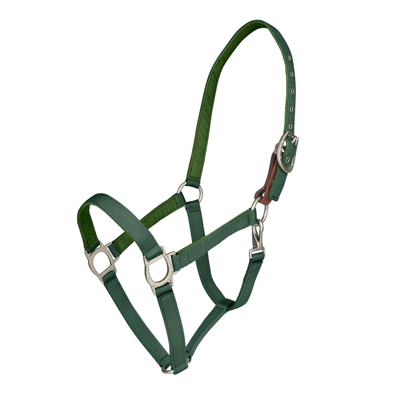 Lucky Breakaway Halter by Ovation®