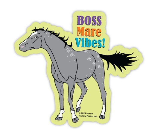 3" Tumbler Horse Sticker / Boss Mare Vibes / WATERPROOF