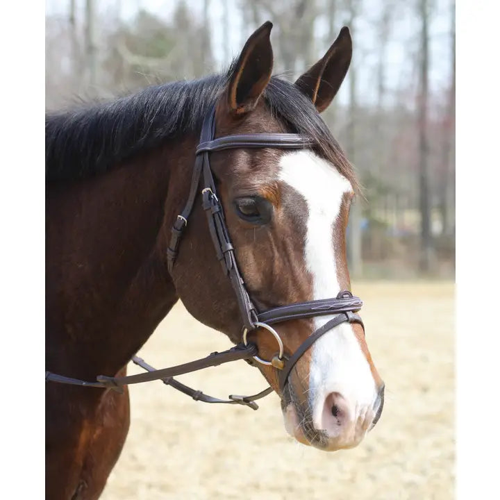 Henri De Rivel Kushy Bridle with Detachable Flash