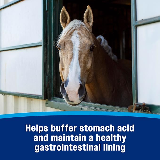 Farnam Gastric Health Pellets