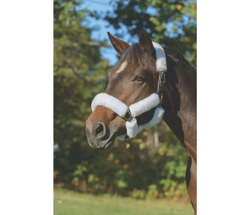 Shires Arma Supa Fleece Halter Set - 9 Piece