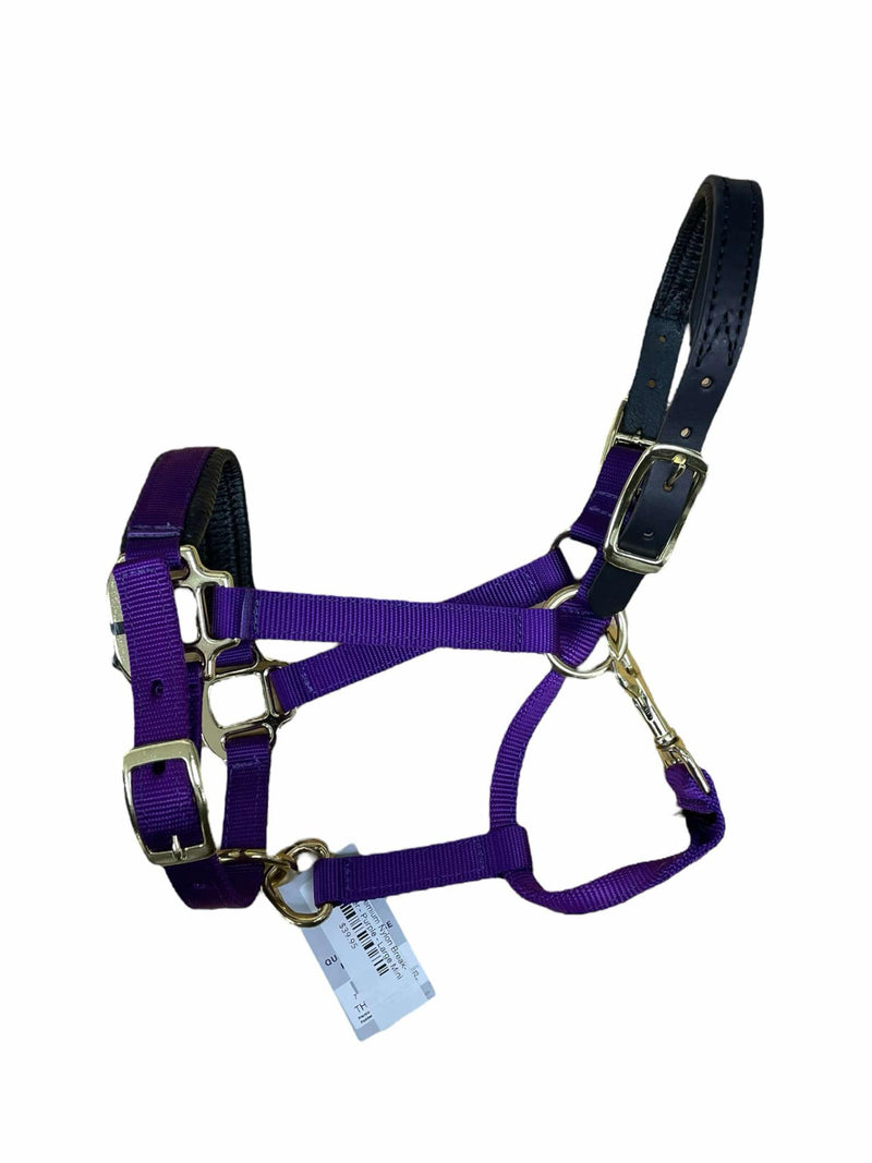 Intrepid Nylon Breakaway Halter *NWT* - Purple - Large Mini - USED