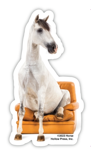 3" Tumbler Horse Sticker / Horse Seated Chair / WATERPROOF