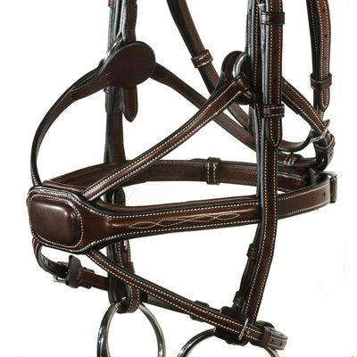 Arianna Bridle