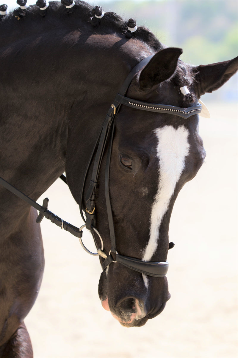 Kl Select Red Barn Drop Noseband