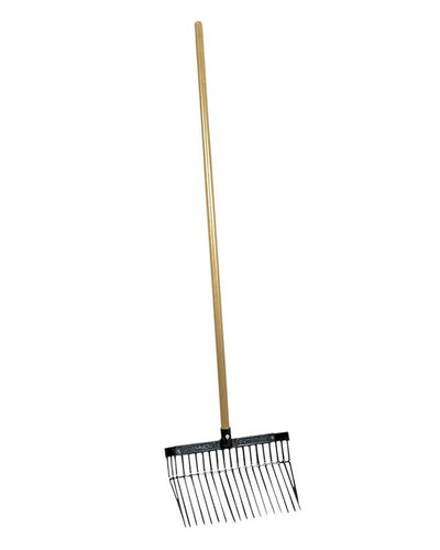 Future Fork