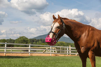 Green Guard Halter