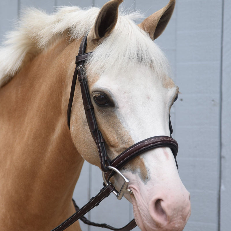 Red Barn Icon Bridle