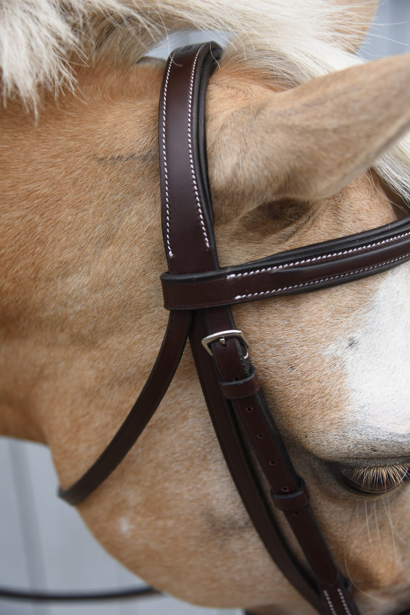 Red Barn Icon Bridle