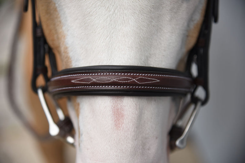 Red Barn Icon Bridle