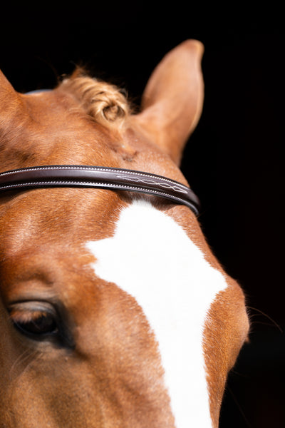 KL Select Red Barn Hudson Bridle