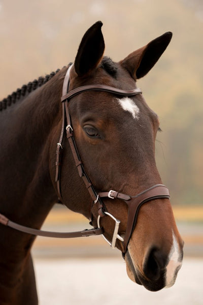 KL Select Tucson Bridle