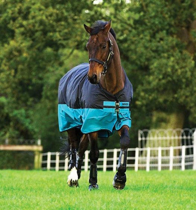 Mio Lite Turnout Sheet Black/Turquoise