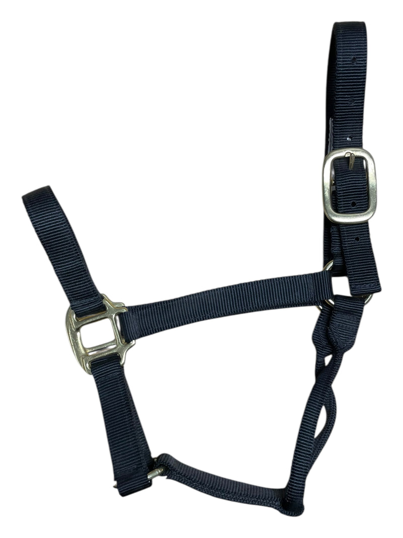 Nylon Halter - Black - Yearling - USED