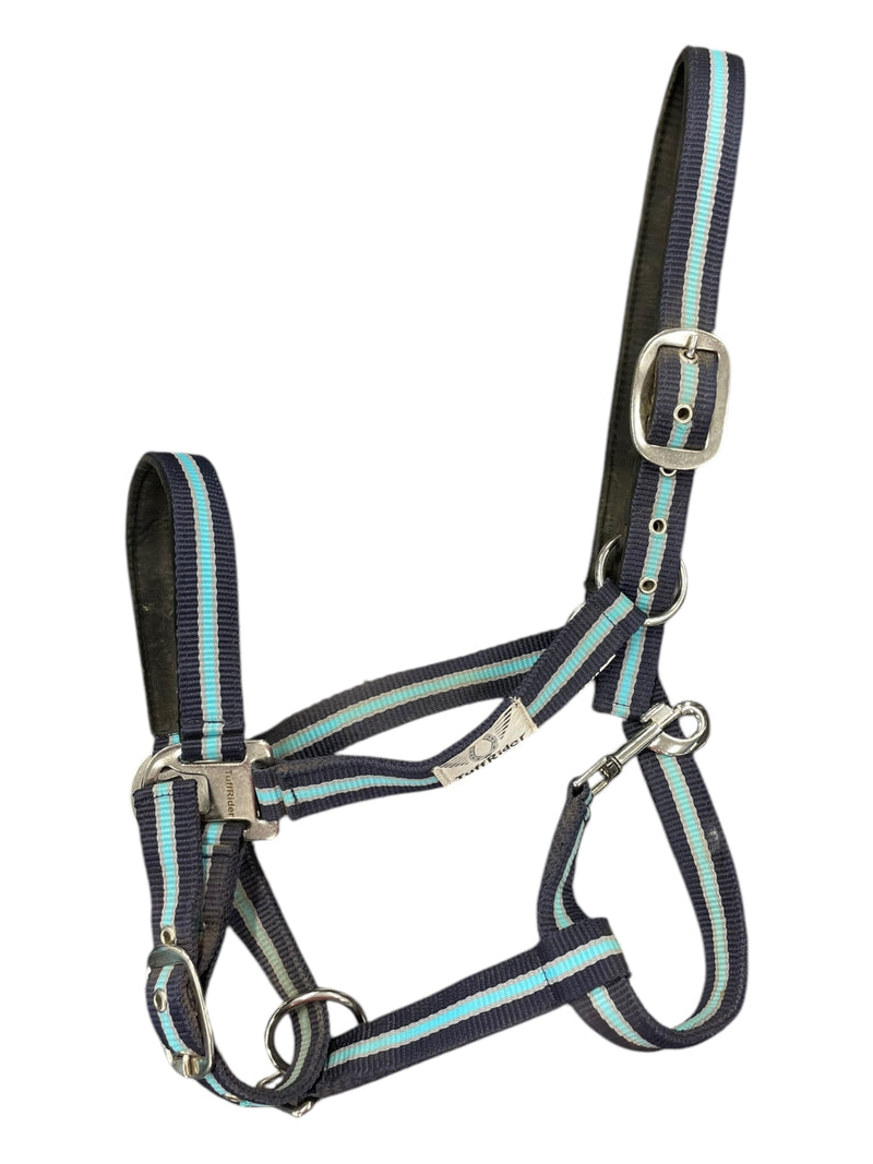 Tuffrider Breakaway Halter - Blue/Navy - Oversize - USED