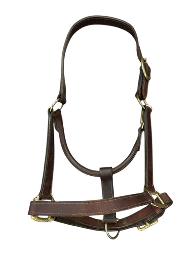 Leather Halter - Brown/Brass - Est. C/S - USED