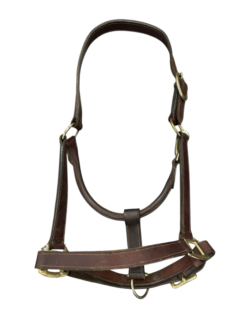 Leather Halter - Brown/Brass - Est. C/S - USED