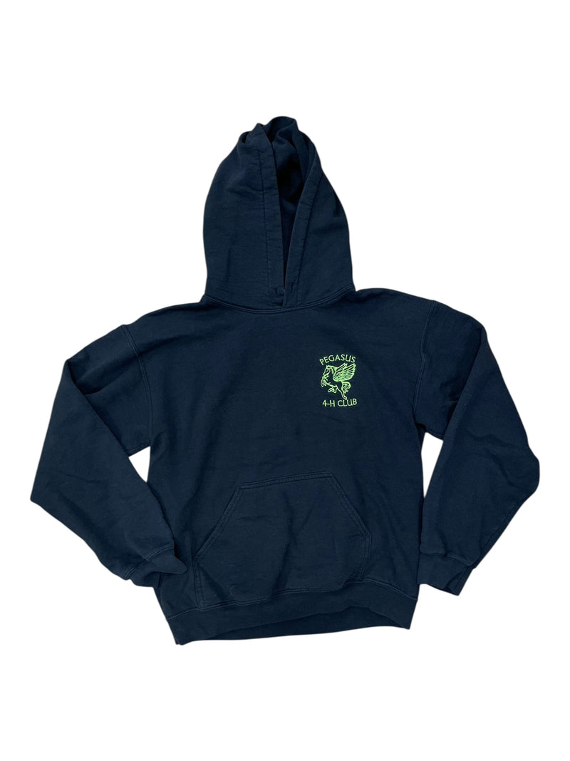 Pegasus 4H Sweatshirt - Black/Green - S - USED
