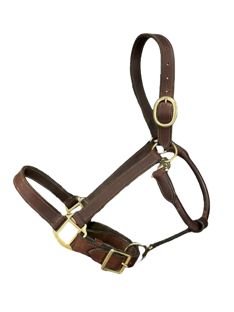Leather Halter - Brown/Brass - Est. C/S - USED