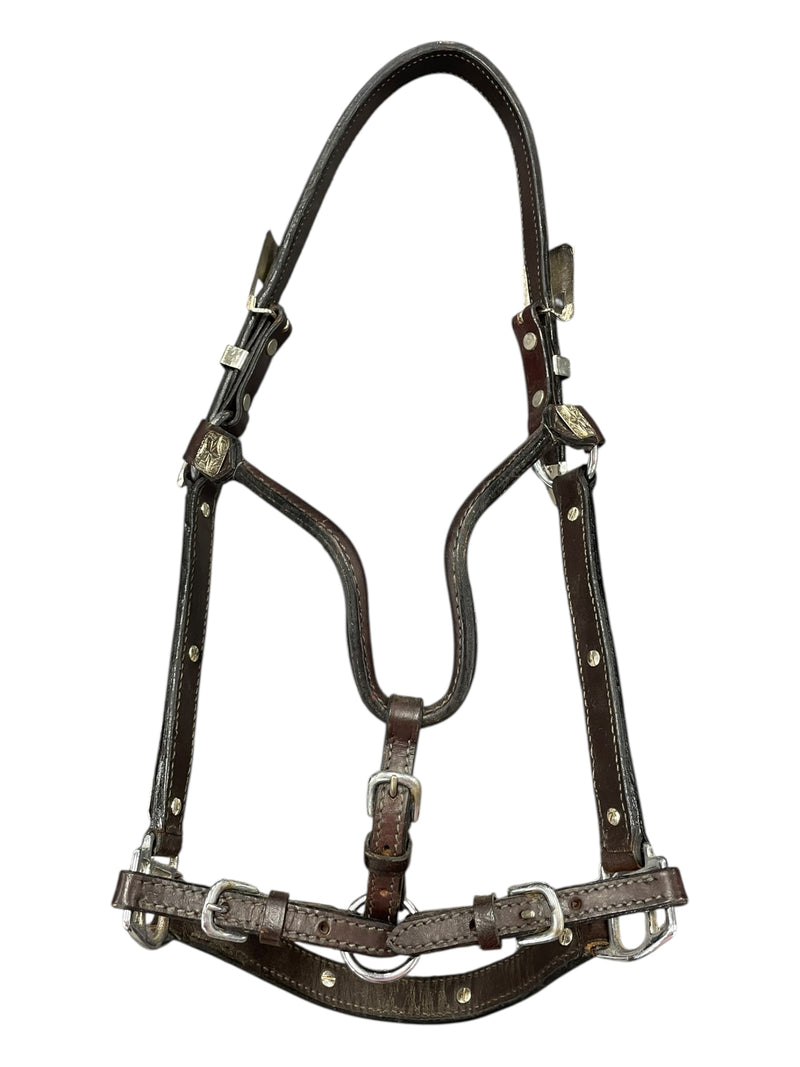 Show Halter/Lead - Brown/Silver - Approx F/S - USED