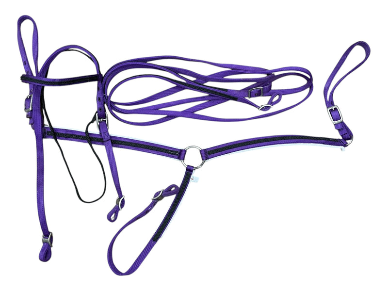 Tuffy Barrel Race Set - Purple - Est. Cob - USED