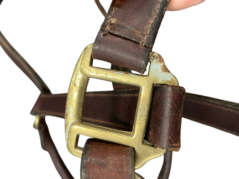 Leather Halter - Brown/Brass - Est. C/S - USED