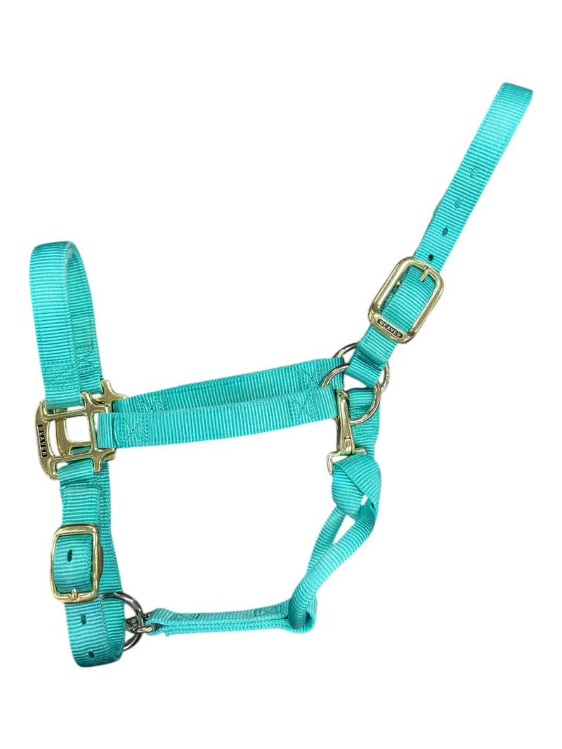 Weaver Nylon Halter - Light Blue - Average - USED