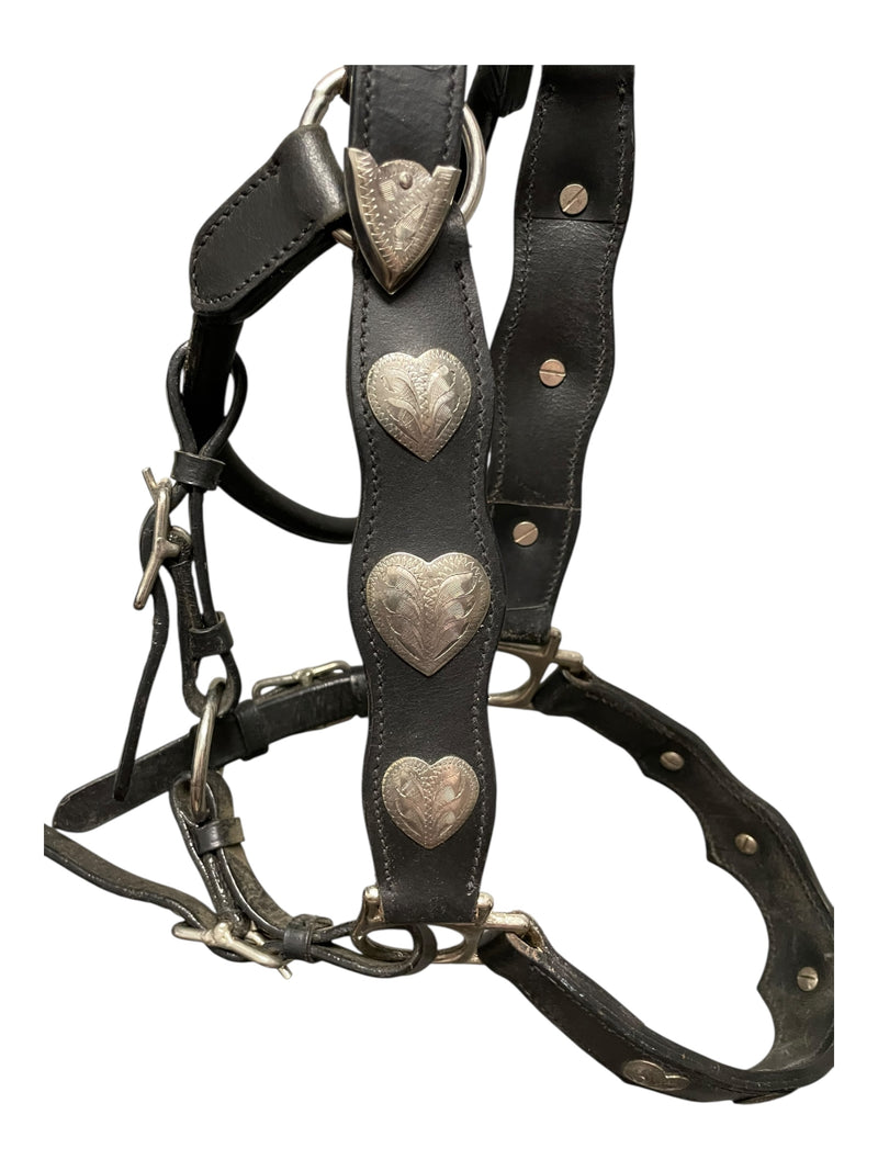 Western Show Halter - Black/Silver - Est. F/S - USED
