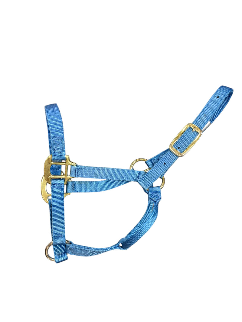 Nylon Halter - Light Blue - Colt 200-300 lbs - USED