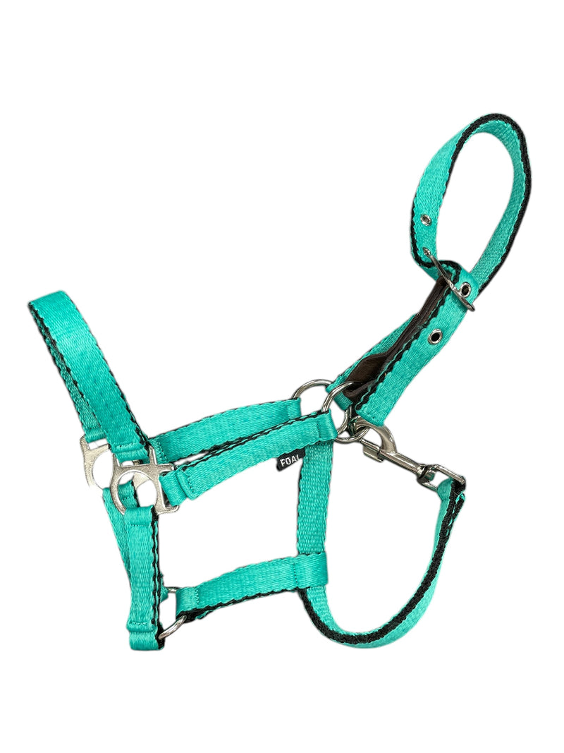 Nylon Halter - Light Green - Foal - USED