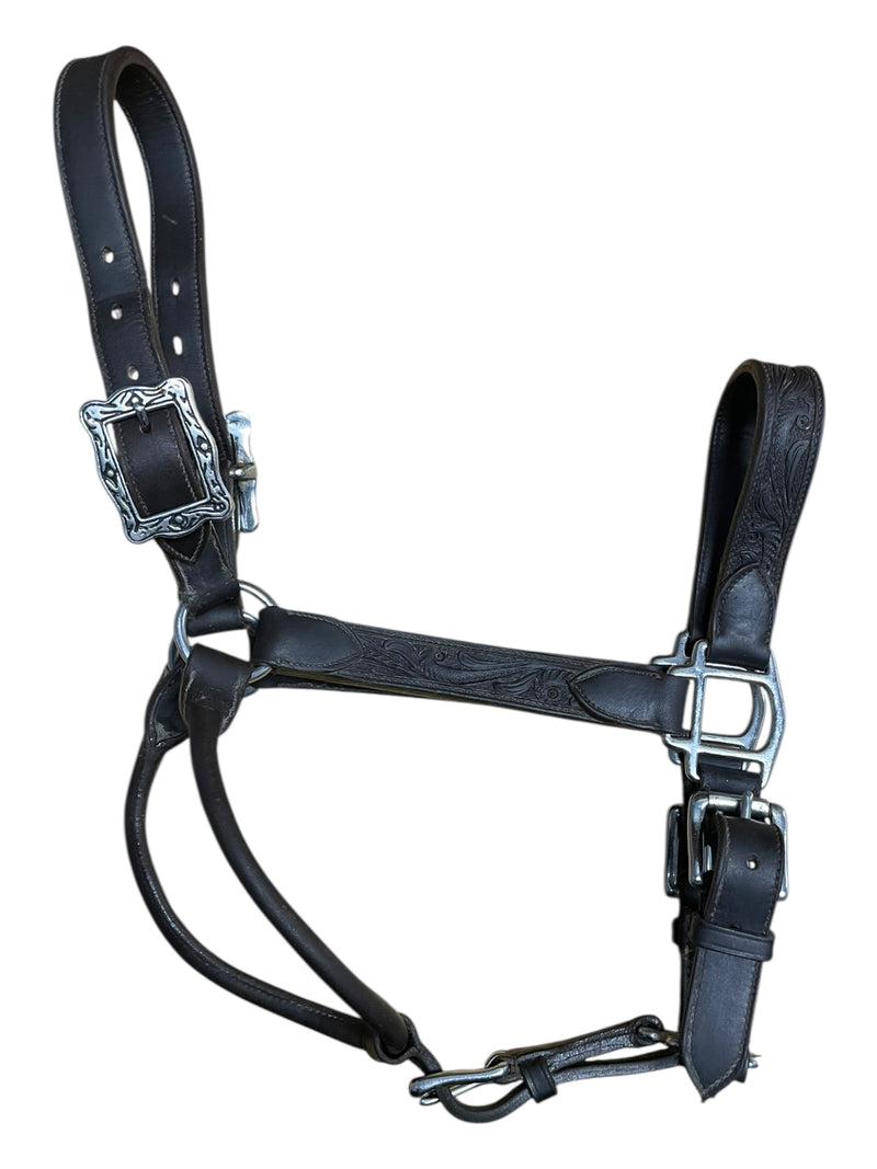 Billy Royal Tooled Halter - Dark Brown - Horse Size - USED