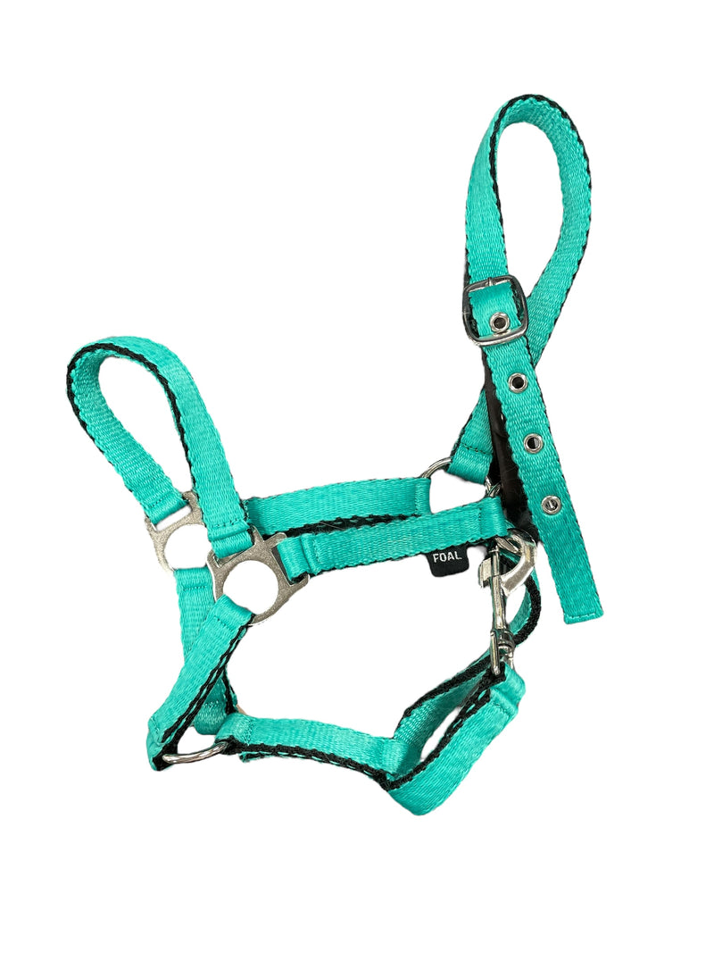 Nylon Halter - Light Green - Foal - USED